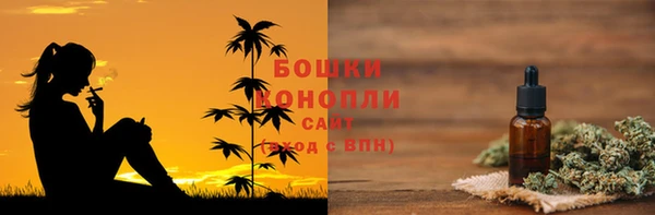 сатива Карпинск