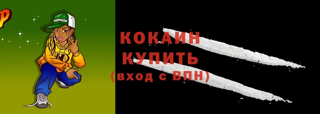 сатива Карпинск