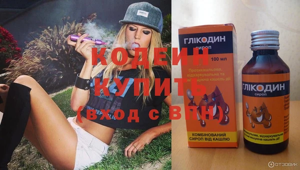 сатива Карпинск